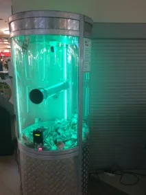 штрафу