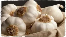 чесън лечебни свойства
