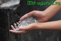 Чим удобрити землю восени під цибулю добрива