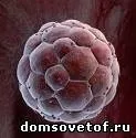 любов щастие
