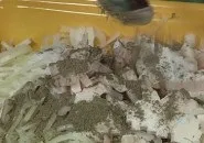 държава държава