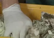 отговор отговор