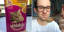 Дегустація 12 котячих кормів, oblacco oblacco