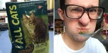 Дегустація 12 котячих кормів, oblacco котячих