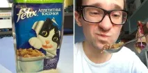 Дегустація 12 котячих кормів, oblacco дегустація