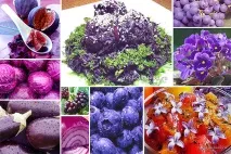 Кольорове меню – хромотерапія для здоров’я меню