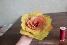 квіти