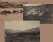 какво гората