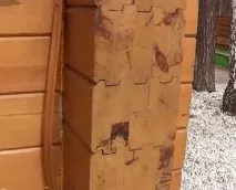 знати