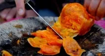Дикенлі інжир (Кактус Опунція) кактус