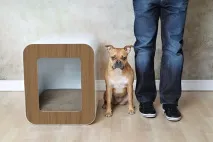Будиночки для тварин креативний зразок від компанії Kooldog зразок