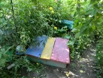 боку
