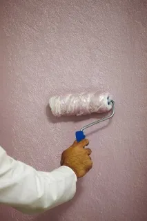 декоративна могат