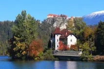 безкоштовно