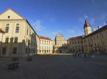 несвижки комплекс