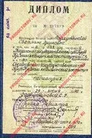 светлана фархутдинова