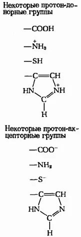 Чинники, що визначають каталітичну ефективність ферментів чинники