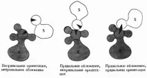Чинники, що визначають каталітичну ефективність ферментів чинники