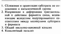 Чинники, що визначають каталітичну ефективність ферментів визначають