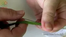 майсторски роза