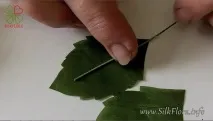 клас клас