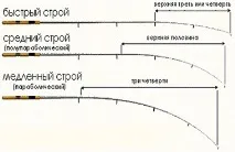 Фідерне вудилище для початківців як правильно вибрати і що це таке початківців