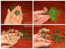 фіалки