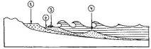 форми морски