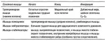Функціональні м’язові тести верхніх кінцівок – приведення лопатки зі зміщенням у каутальному. язові