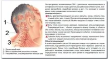 головний