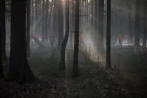 історії