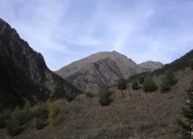 Кома Педроса андора
