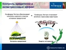Імідаклоприд, довідник імідаклоприд