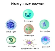 трябва трябва