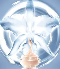 orchidée impériale
