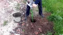 садова