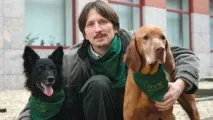 поведението вълци