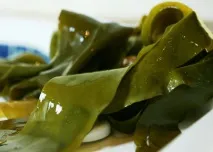 Цікаві факти про водорості водорості
