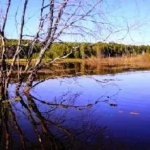 Інтернет-журнал про рибалку в Орлівській області безкоштовно рибалку
