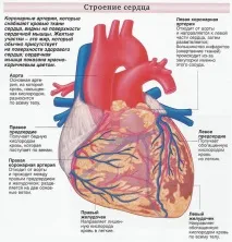 Ішемічна хвороба серця, класифікація ІХС, фактори ризику ІХС хвороба