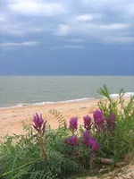 Тимошка їде на море - Станиця Голубицька, Азовське море море