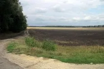 защо защо
