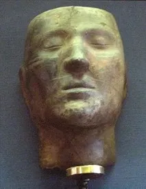 културата брезова кора