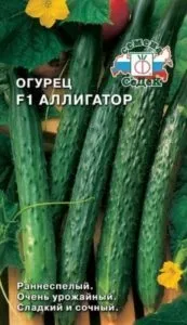прегледи терен
