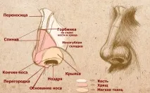 момиче момиче