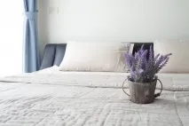 може