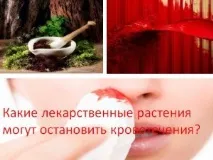 растения лечебни