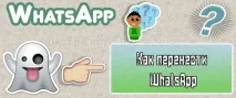 whatsapp whatsapp