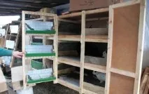 Як зробити клітку для кроликів своїми руками за методом Золотухіна опис, розміри та креслення кроликів