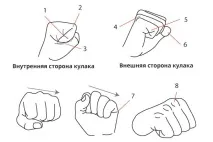 Як малювати руки поетапно олівцем пальці